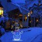 ✨Playful Animated Snowball Light