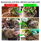 🔥Hot Sales - 49% OFF🎉Strong Rooting Powder Microbial Fertilizer