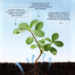 🔥Hot Sales - 49% OFF🎉Strong Rooting Powder Microbial Fertilizer